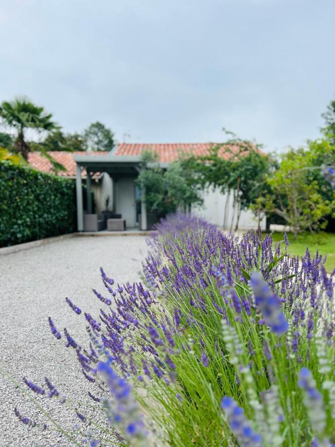O'Pintxo Bed and Breakfast Onesse-et-Laharie Εξωτερικό φωτογραφία